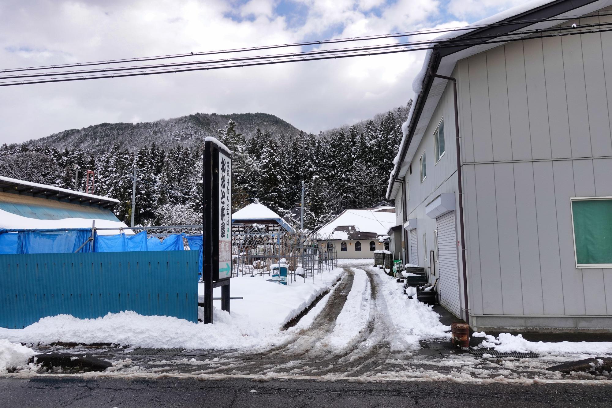 Rainy Wood(レイニー ウッド)