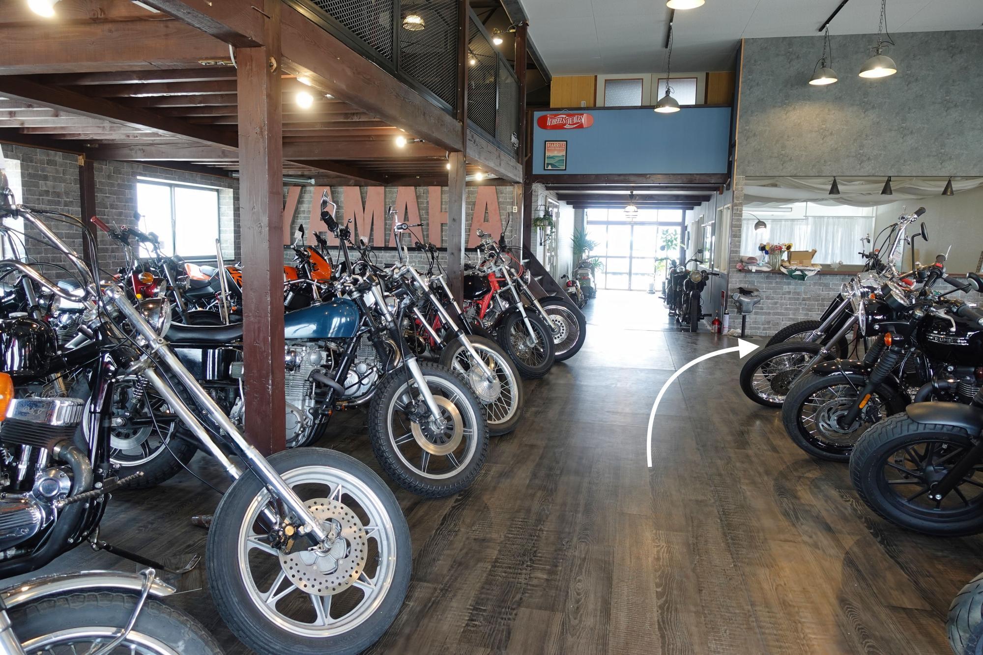 RODSTORE/RODSTAR ビーニウム/bi-Nim 店内