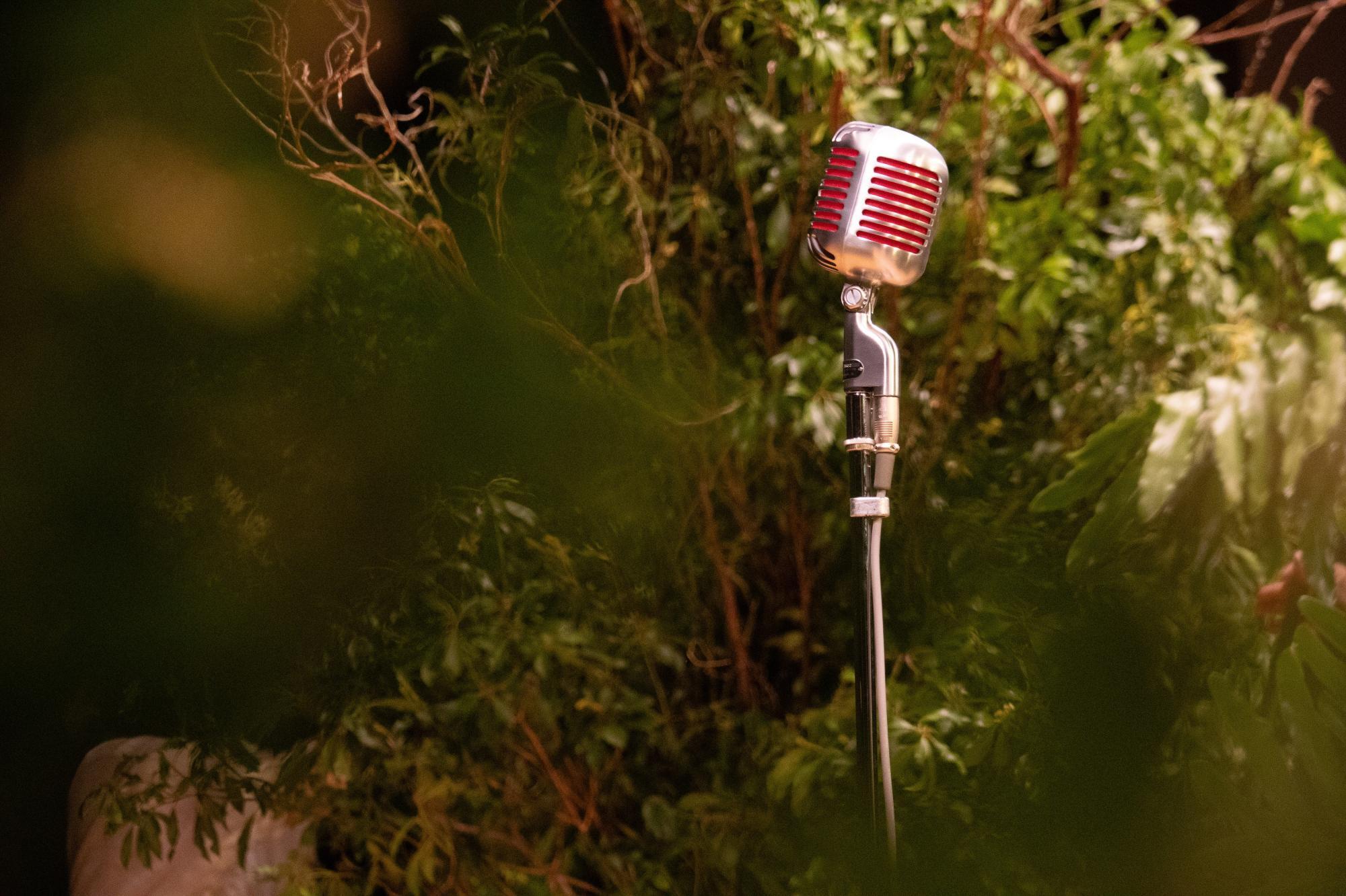 ねこの音楽隊《音楽×装花》F&A APARTMENT 写真提供：ねこの音楽隊