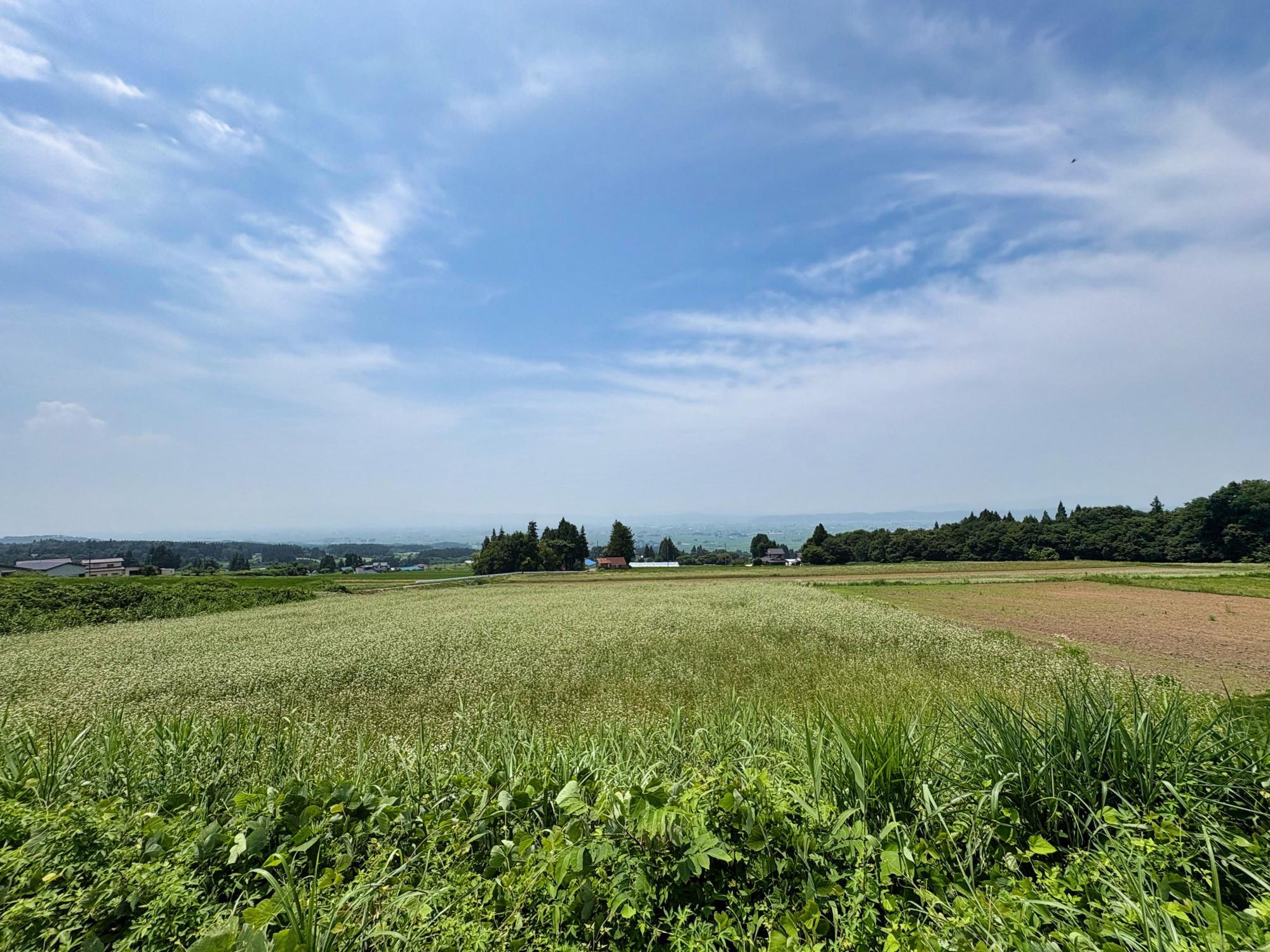 農家のそば屋 さくら からみた会津盆地