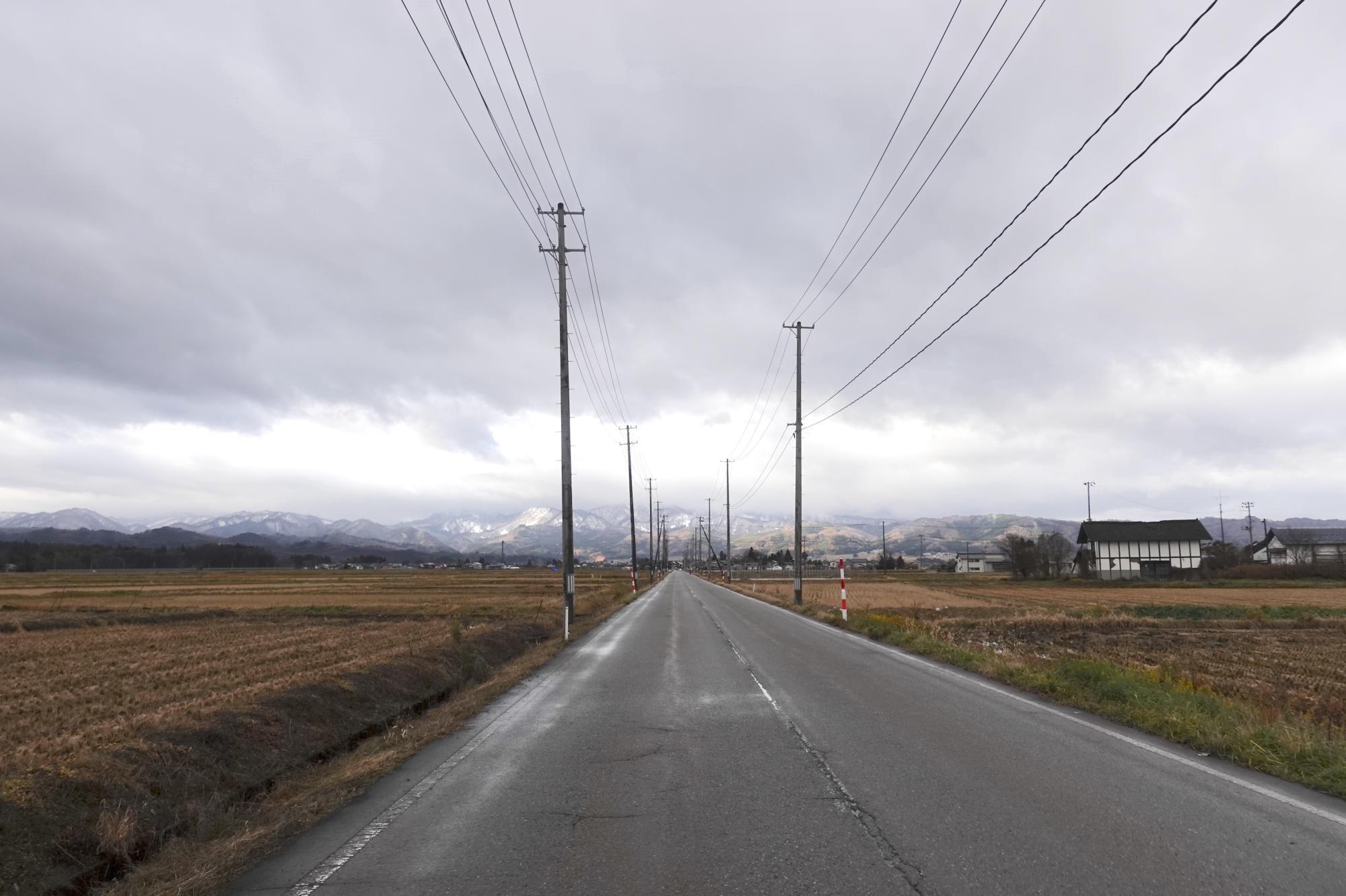 cookies&cakes suctto/サクット へ至る道