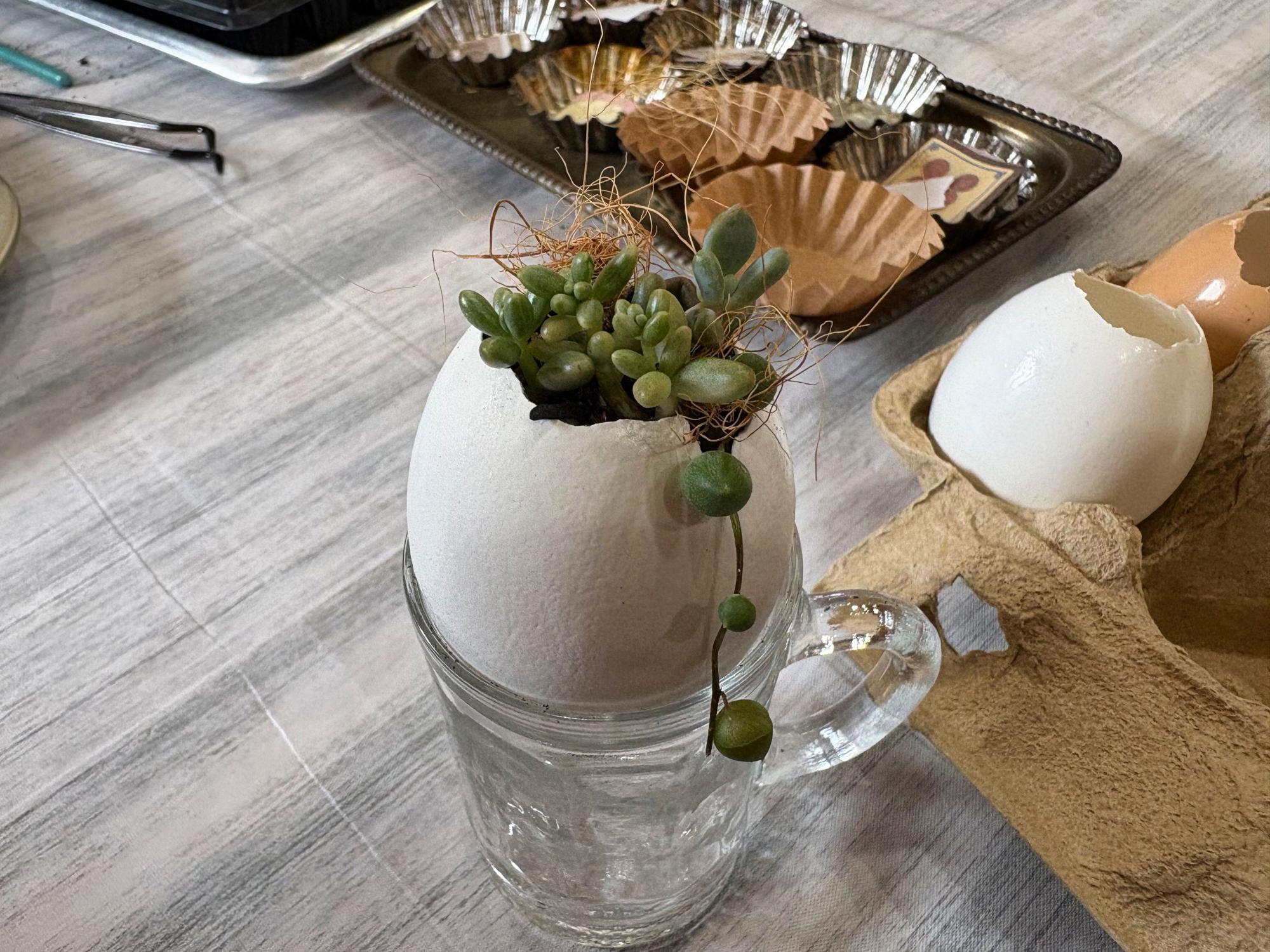 I'S NEWBASE(アイヅニューベース)  ワークショップ