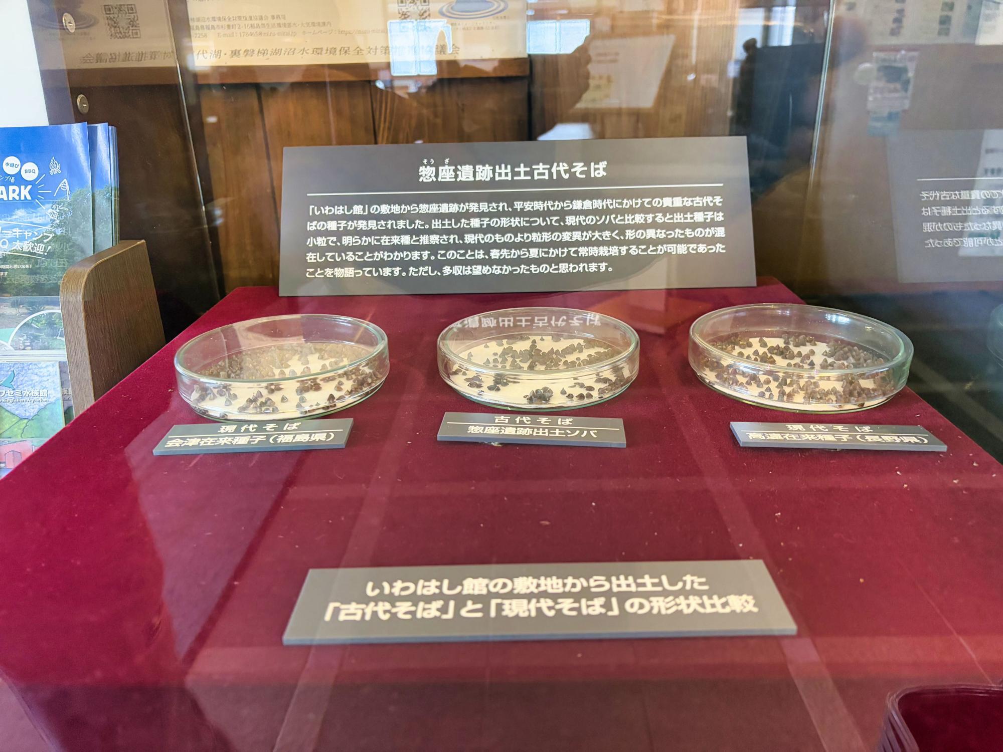 蕎麦の里 いわはし館 惣座遺跡(そうざいせき)