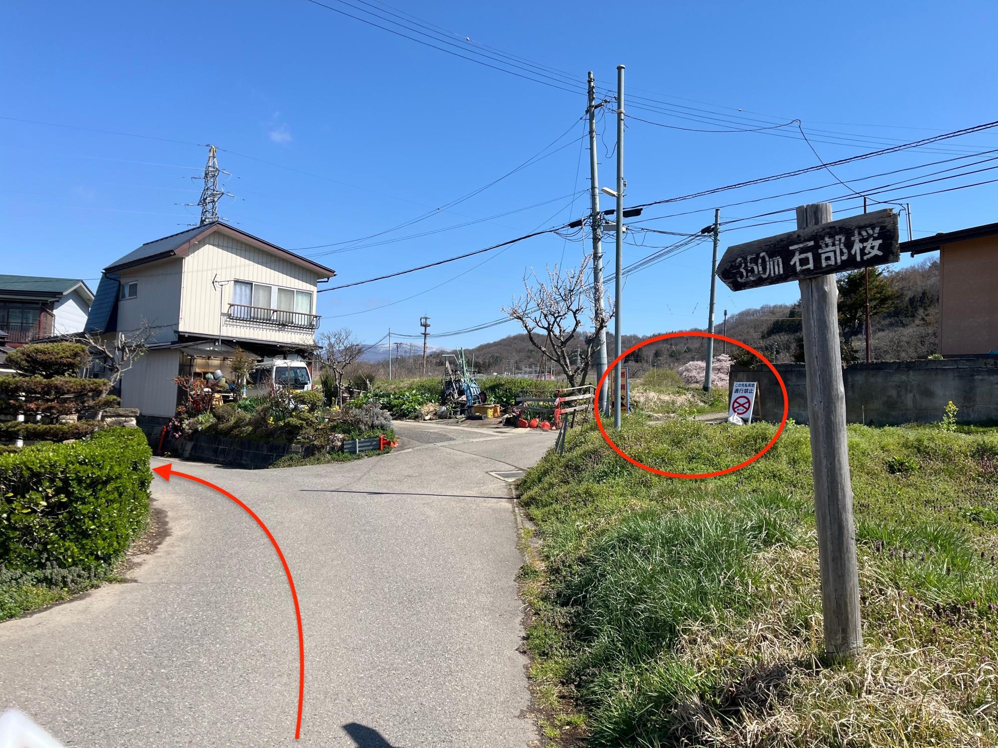 石部桜 ルート