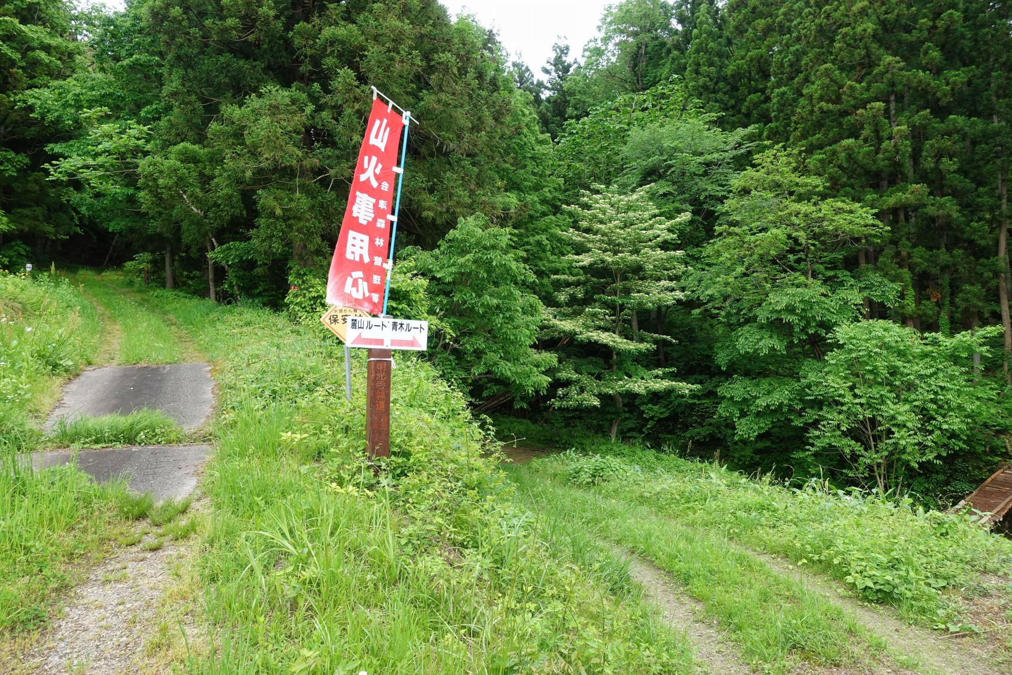 和合亮一さんと歩く「おとなの遠足」第2回 青木山の自然