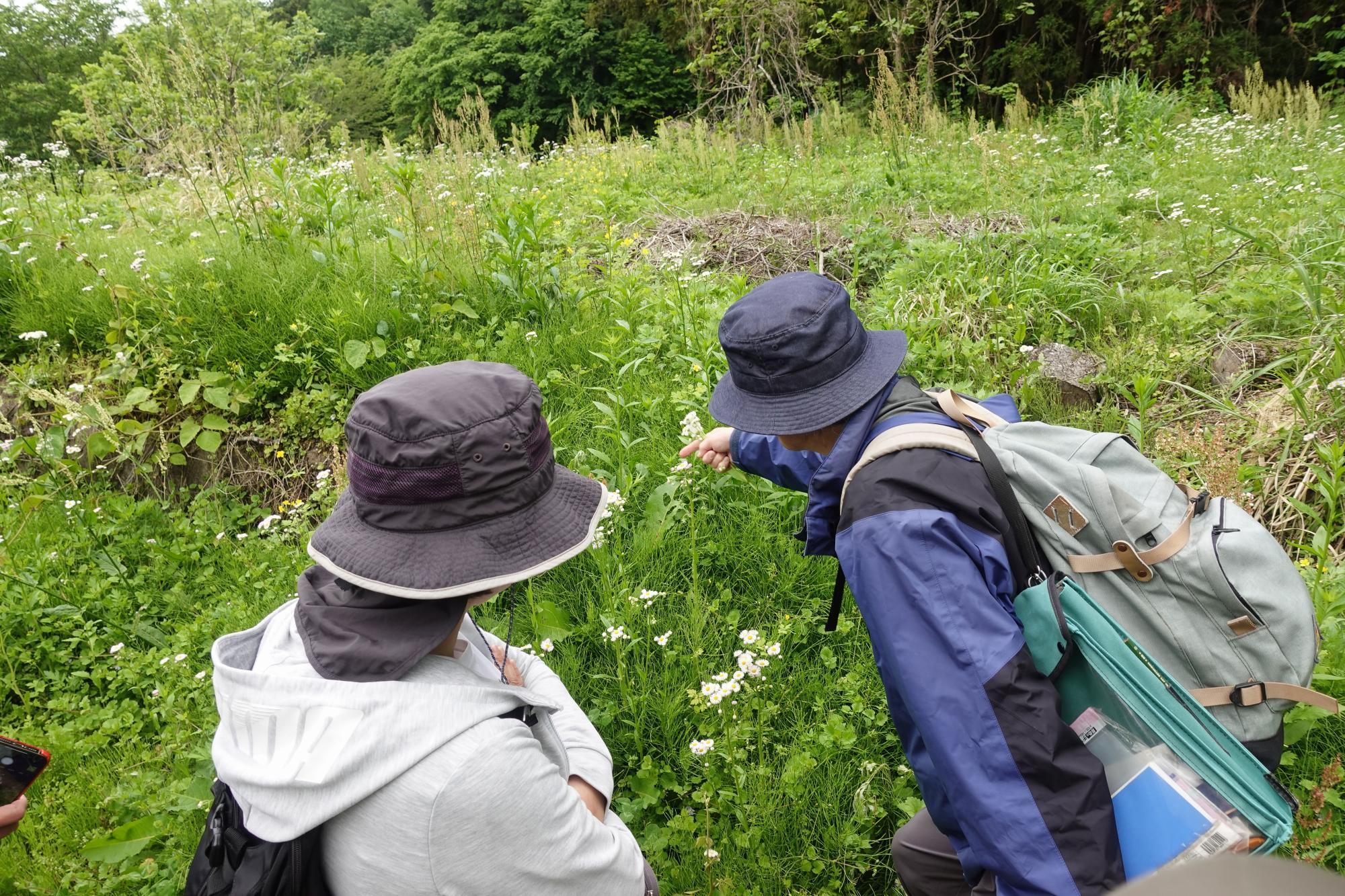 和合亮一さんと歩く「おとなの遠足」第2回 青木山の自然