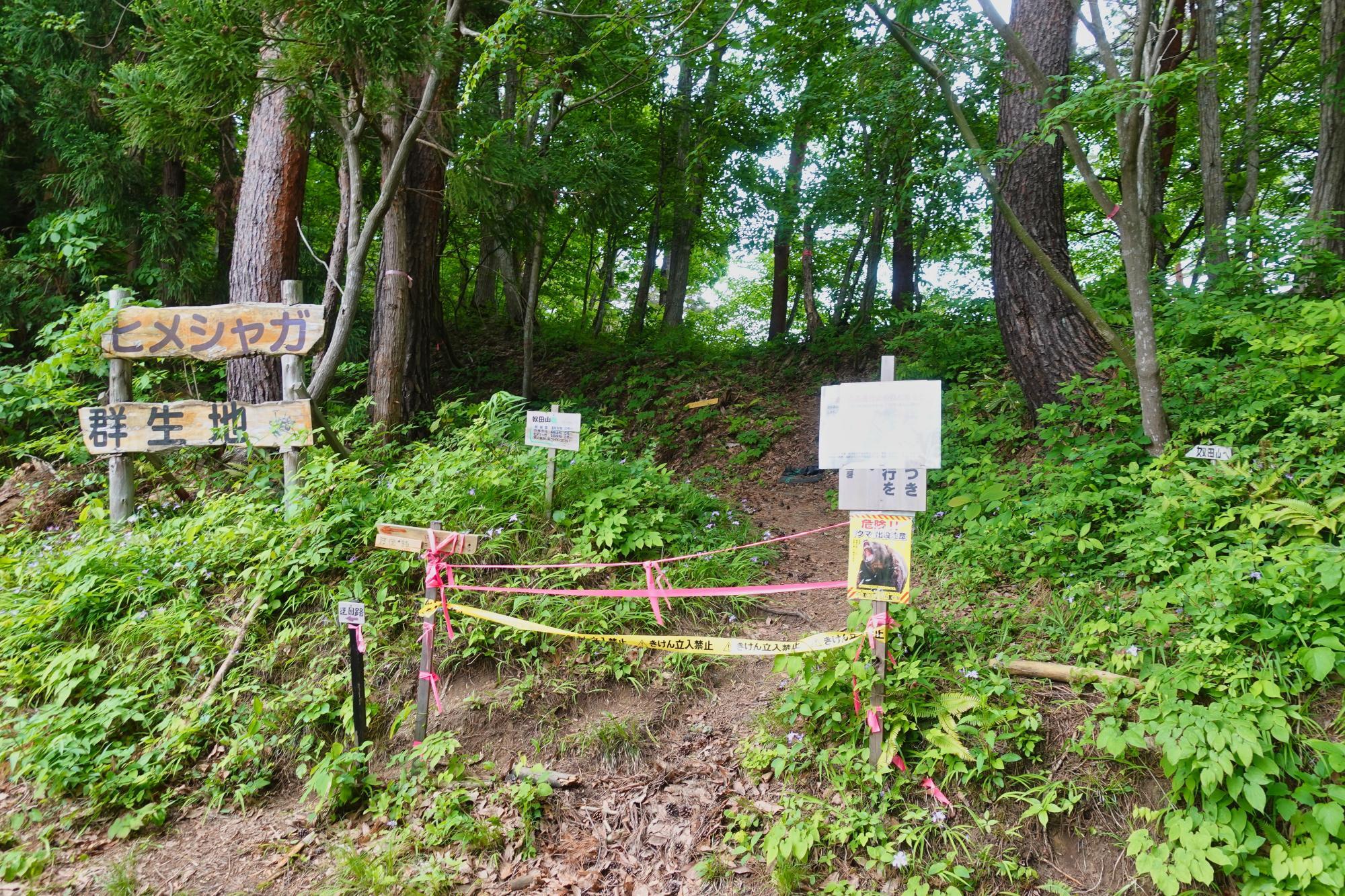 和合亮一さんと歩く「おとなの遠足」第2回 青木山の自然