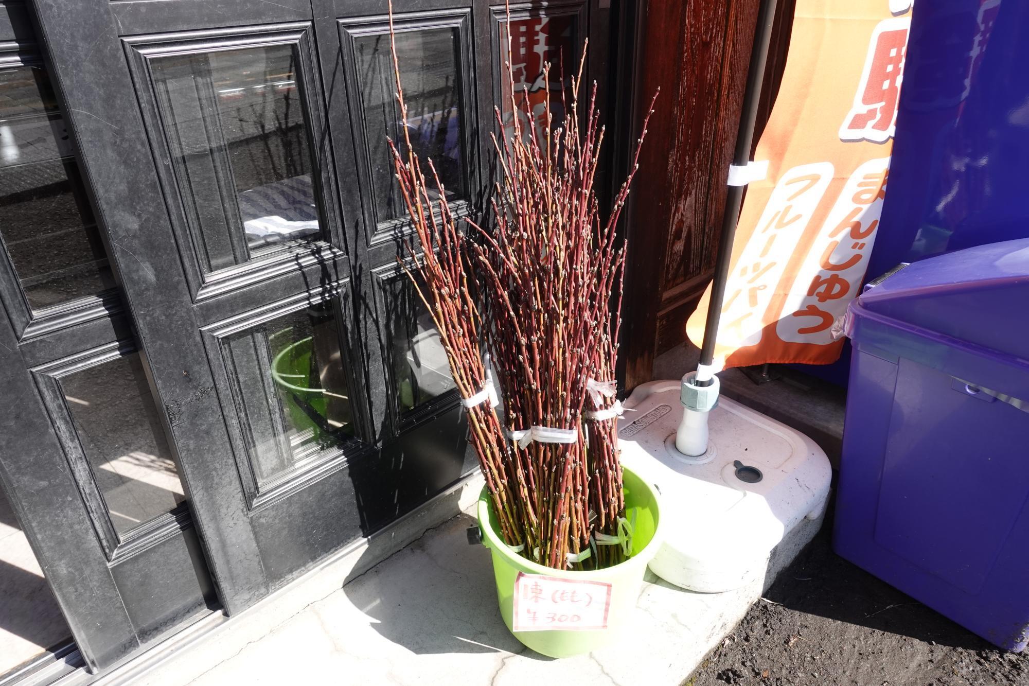 菓子工房がぶり 桃の枝