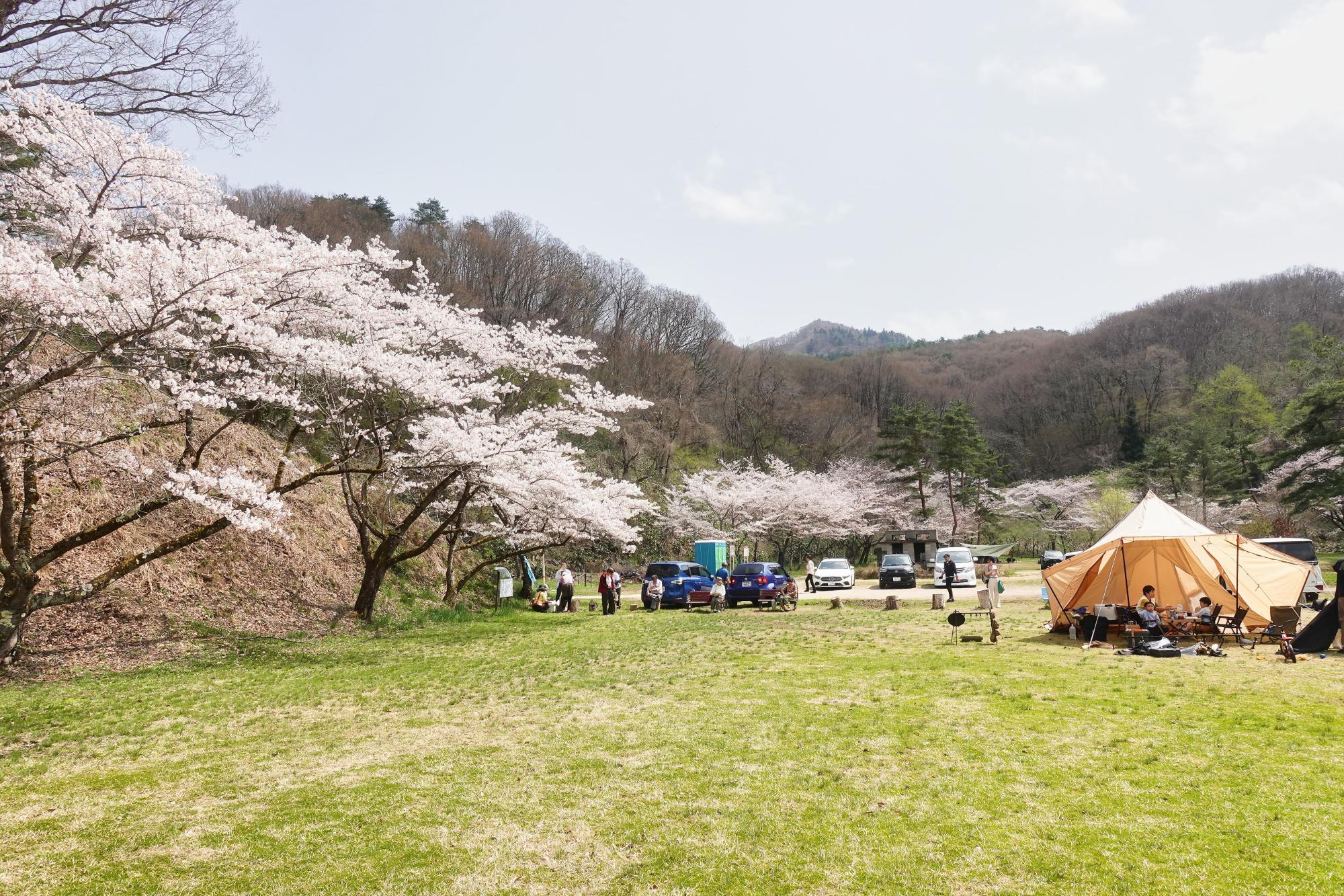 会津若松市 子どもの森