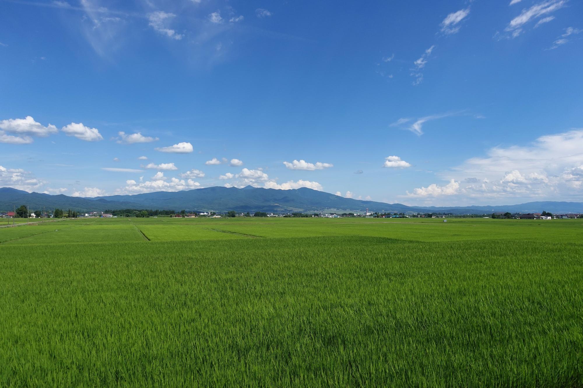 志ぐれ亭 景色 ロケーション