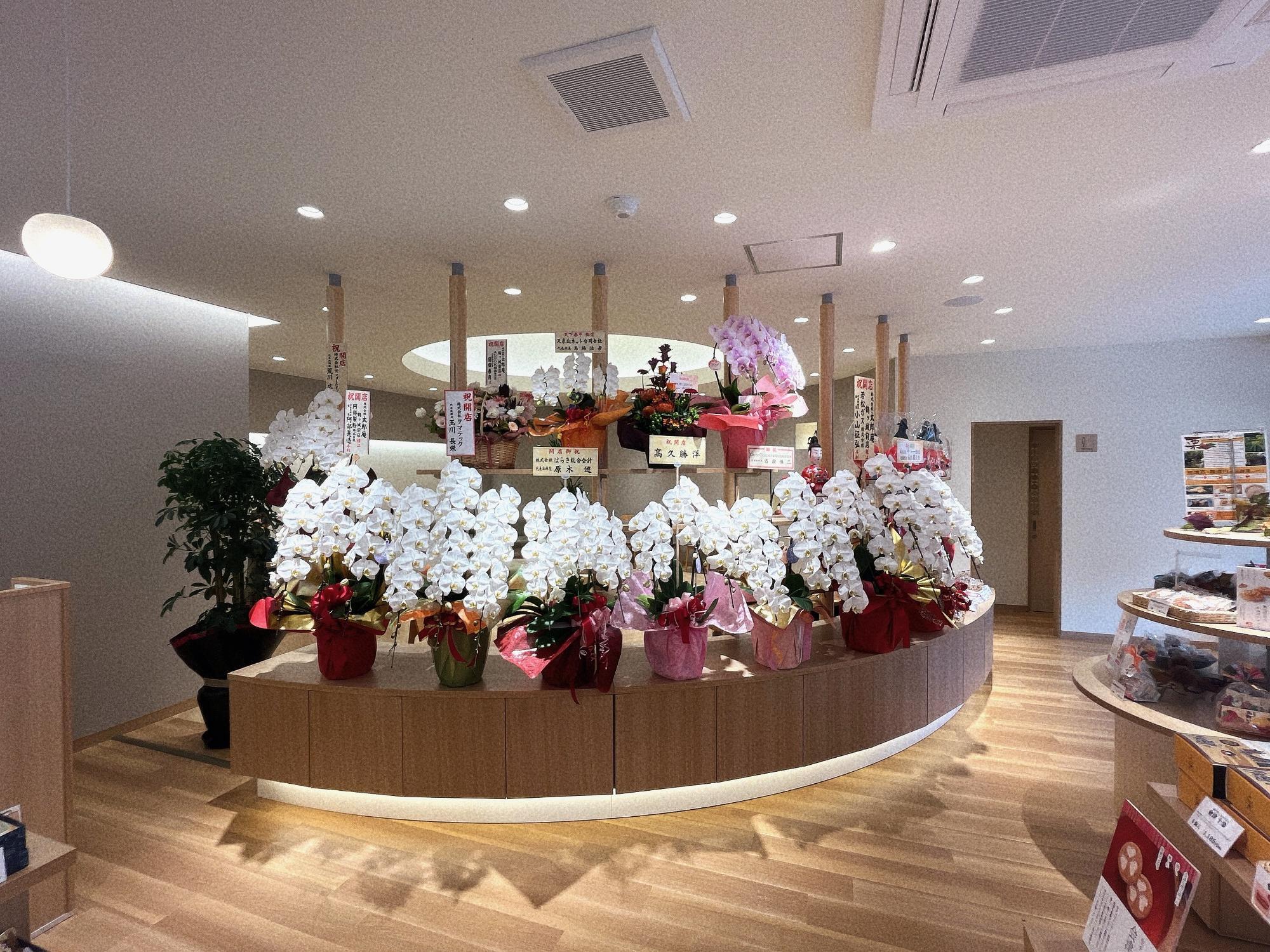 お菓子の蔵 太郎庵 鶴ヶ城前店 会津若松市