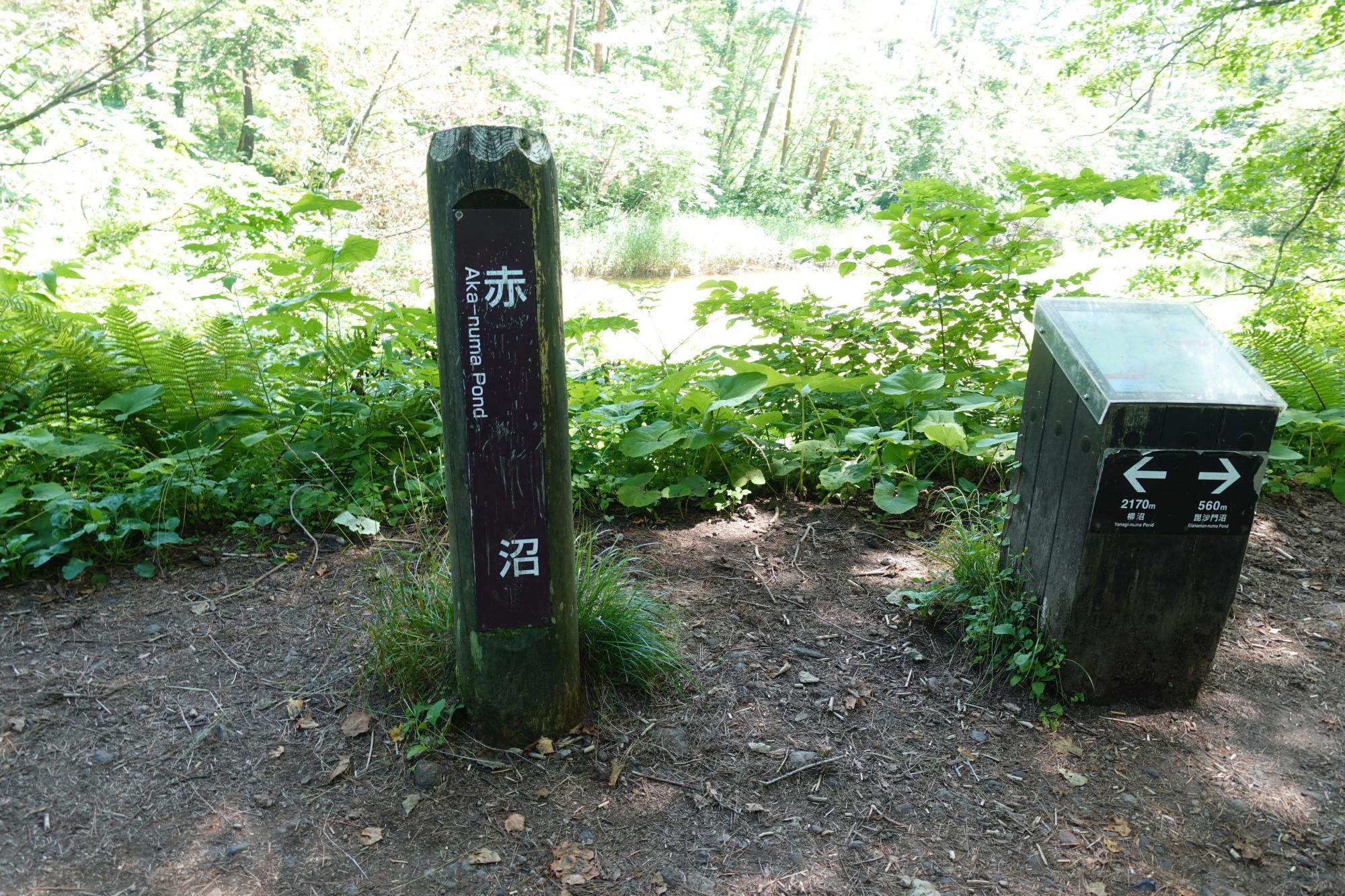 五色沼自然探勝路 赤沼