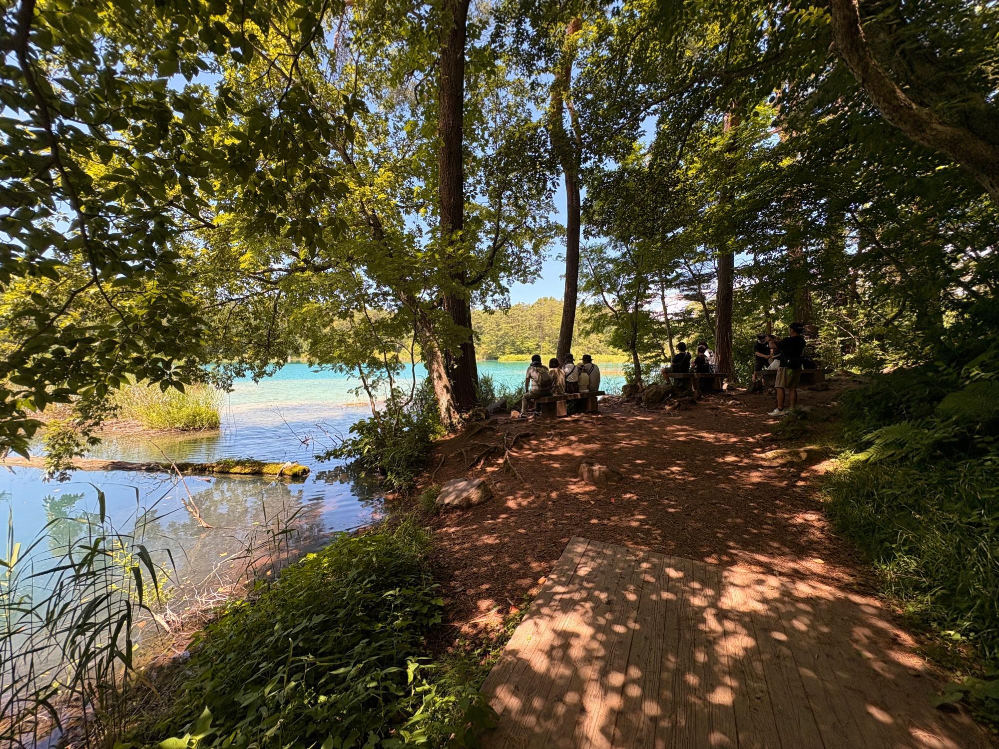 五色沼自然探勝路 弁天沼