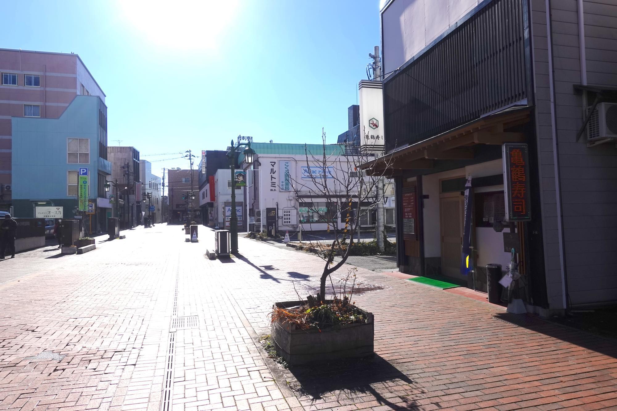 野口英世青春通り